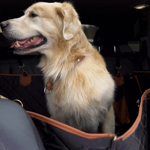 Car Dog Hammock Travel Buddy Mk. II Owleys (6)